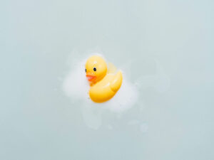 duck floting